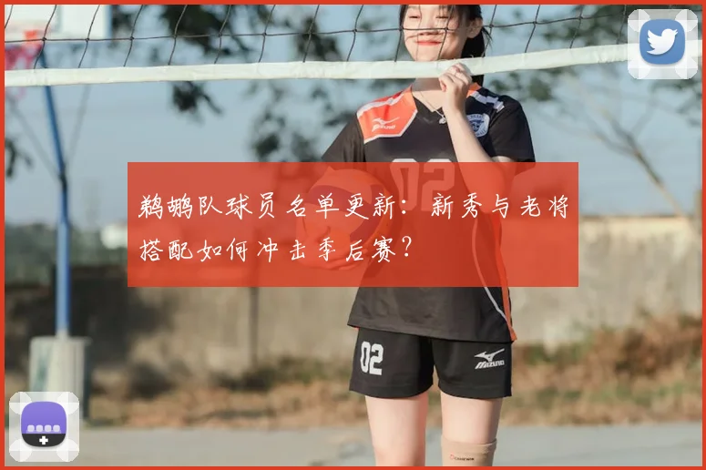 鹈鹕队球员名单更新：新秀与老将搭配如何冲击季后赛？