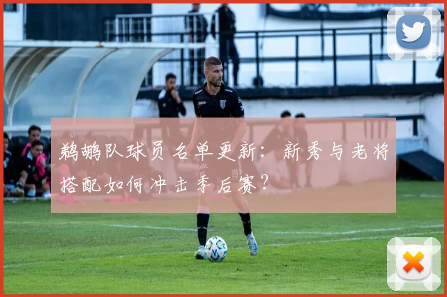 鹈鹕队球员名单更新：新秀与老将搭配如何冲击季后赛？