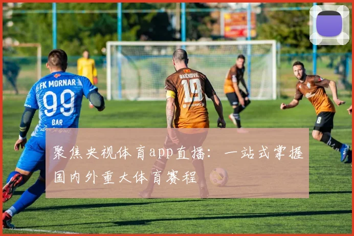 聚焦央视体育app直播：一站式掌握国内外重大体育赛程